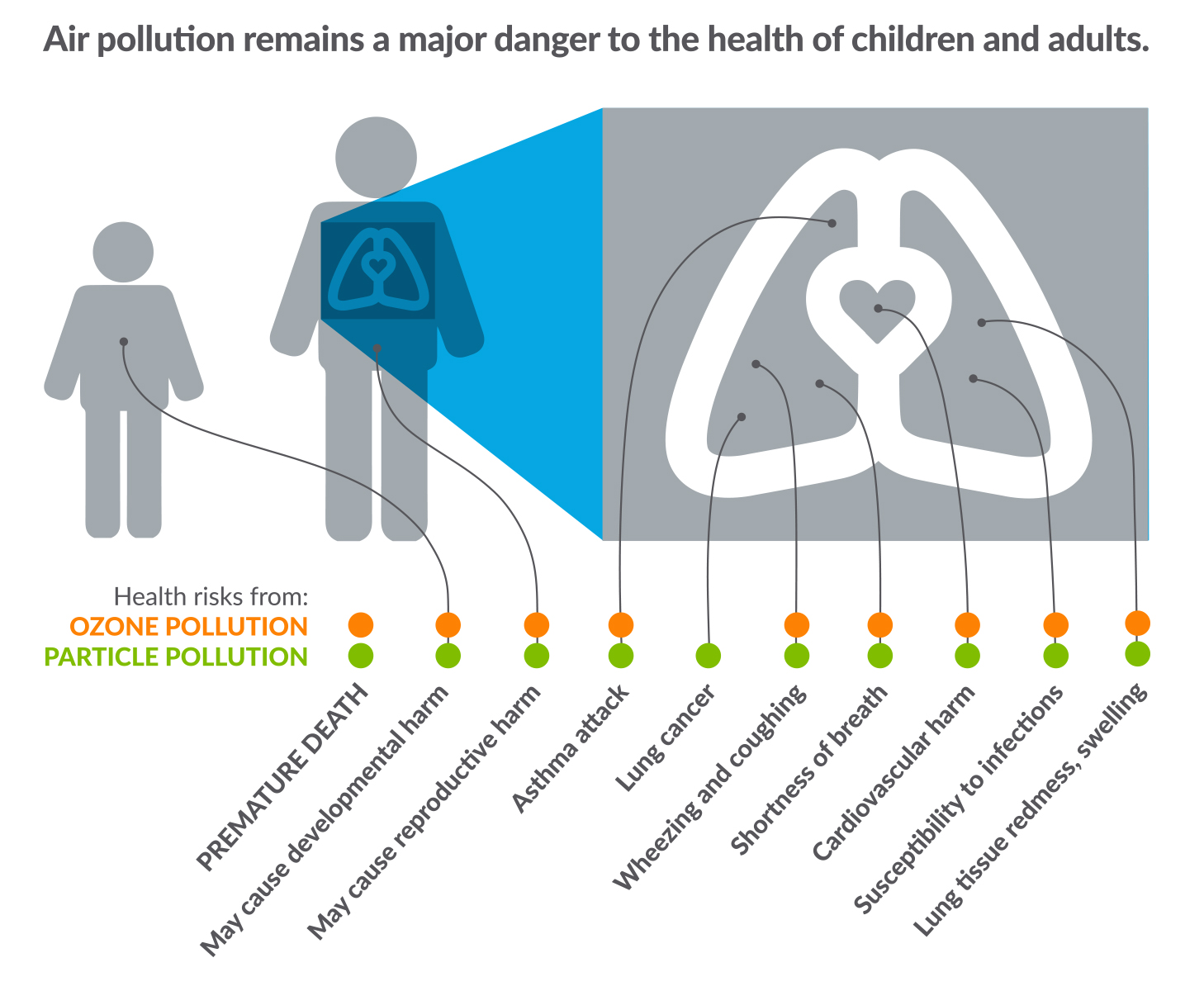 Air Pollution, Health and Wellness