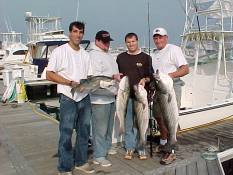 Schooner Island Marina