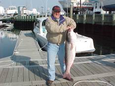 Schooner Island Marina