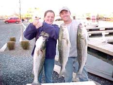 Schooner Island Marina